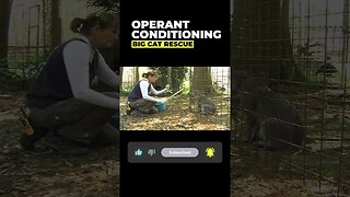 Operant Conditioning~part 4 of 15