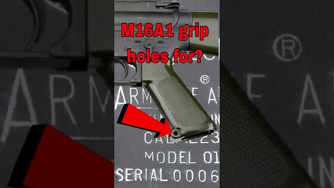 Colt SP1 , A1 grip holes for? @TheColtFirearms #colt #shorts #tactical #rifle