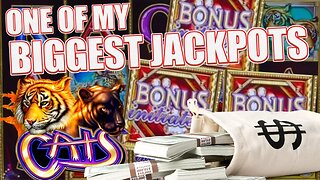 One of MY BIGGEST WINS EVER Playing HIGH LIMIT CATS!