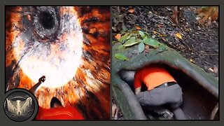 Inside a thousand-year-old tree