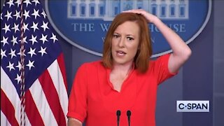 Reporter to Psaki: There's A Fly On Your Head