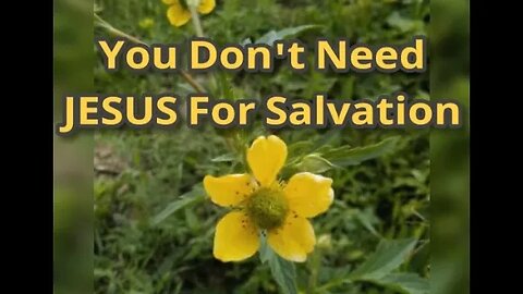 Night Musings # 502 - You Don't Need JESUS For Salvation. What???? 😲 Are You For Real??? 😱