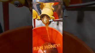 RAW Honey 🍯 #honey #rawhoney #beekeeper