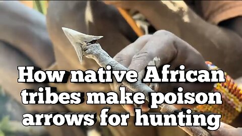 How native African tribes make poison arrows for hunting