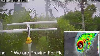 Florida Bird Feeder Live Camera HD