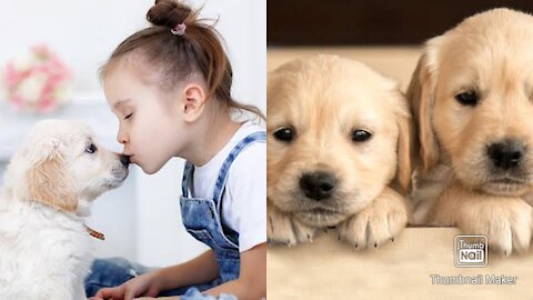 Puppy dog and child children have enjoy so cute video