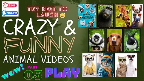 Funniest Animals - Best Of The Funny Animal Videos 2023 😆 #funnyanimals #funnydogs #funnycats #cute