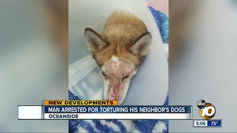 Man arrested for torturing his neighbor's dog