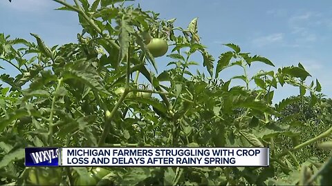 Michigan farmers struggling with crop loss and delays after rainy spring