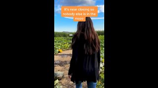 LOST IN A CORN MAZE? (Part 1?)