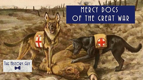 Mercy Dogs of the Great War