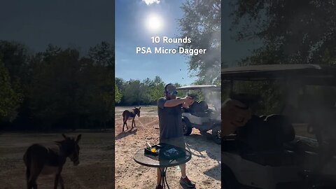 10 of The First 75 Rounds Through The PSA Complete Micro Dagger