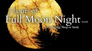 Full Moon Night | Relaxing Sound for Sleep or Study