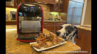 Foodie Great Danes Love Air Fryer Chicken Wings By RW Flame