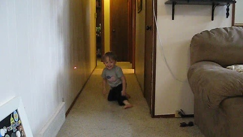 Baby and cat chase laser pointer