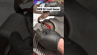 BMW Oil Level Sensor #bmw #mechanic #car #bmwe34 #bmwm5 #diy #automotive #restoration #rebuild