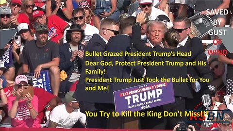 PRESIDENT TRUMP JUST TOOK BULLET TO THE HEAD FOR YOU AND ME - AT RALLY IN BUTLER, PA - 7/13/24 6:11 PM. SHOT TAKEN AT 125 M.