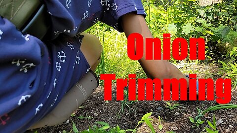 This may be a Mistake. Trimming Onions