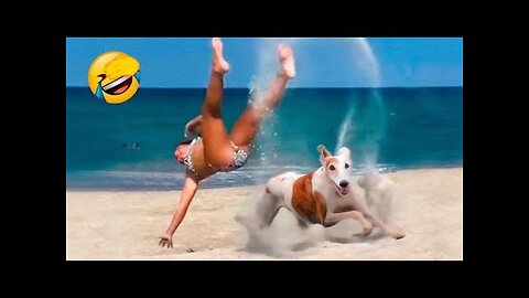Funny Dog Fails🐶 - Funniest Cats And Dogs 2023😹🐶 | Pets Island