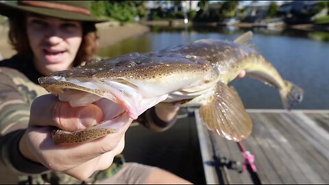 24 hour FISHING CHALLENGE - Eating Only What I Catch (DEADLY ANIMALS)