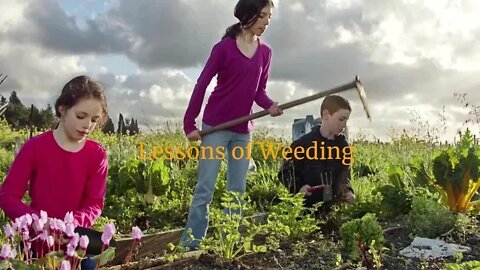 Grandma Sally tells a Children's story: Lessons of Weeding