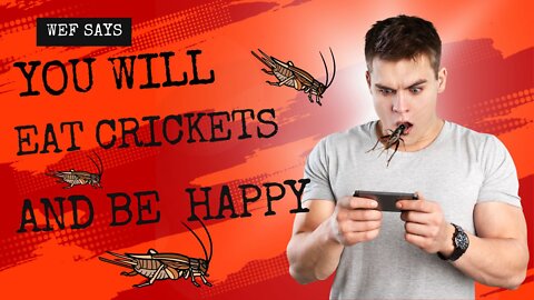 The WEF Says You Will Eat Crickets and Be Happy.