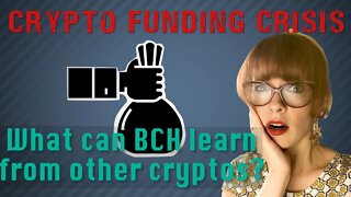 Crypto funding crisis: Are some coins destined to die?