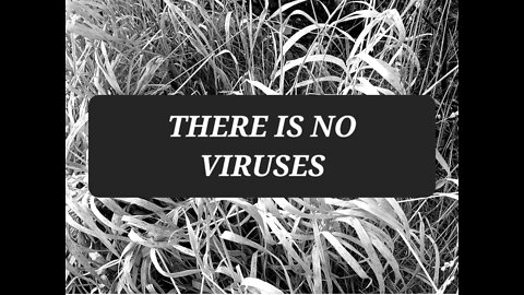 THERE ARE NO VIRUSES!!!!