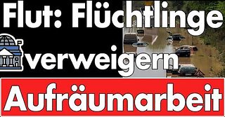 Hochwasser: Flüchtlinge verweigern Arbeit - Leistungen gekürzt! Bezahlkarten sorgen für Heimreisen!