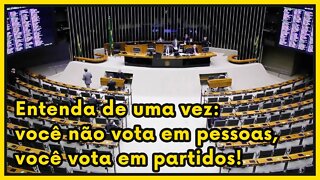 Eleições proporcionais, como funcionam? E a contagem dos votos? | Cortes O País do Futuro