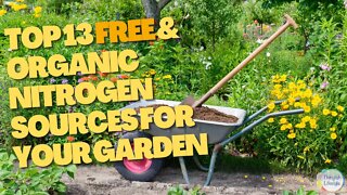 13 FREE and Organic Nitrogen Sources for Your Garden