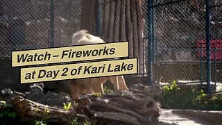 Watch – Fireworks at Day 2 of Kari Lake Election Trial as Expert Witness Challenges Signature V...