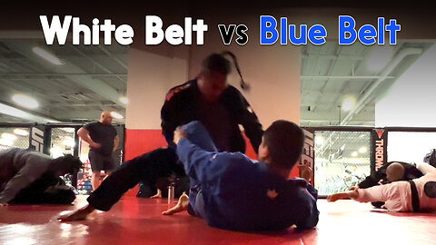 Jiu Jitsu White Belt vs Blue Belt Tola | Circadian MMA (10-25-2022)