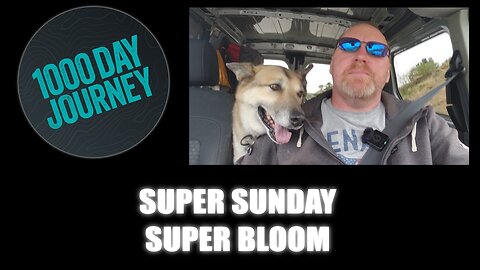 1000 Day Journey 0306 Super Sunday Super Bloom