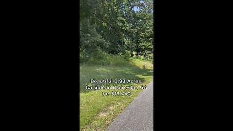 Beautiful 0.93 Acres for Sale in Blairsville, GA