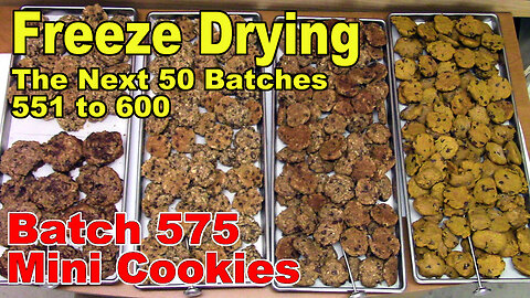 Freeze Drying - The Next 50 Batches - Batch 575 - Sister's Mini Cookies