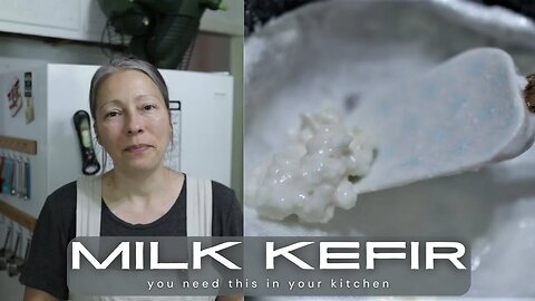 You NEED this in your kitchen | MILK KEFIR