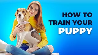 Unlock Your Dog's Full Potential, Train Your Dog!