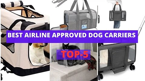 Best Airline Approved Dog Carriers | Dog Carriers that can Make Air Travel Stress Free