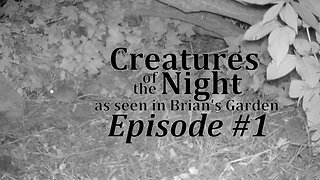 Creatures of the Night 01