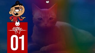 Stray [PS5] - Episode 1: Kitty In A Bucket (Blind Playthrough / PlayStation 5)