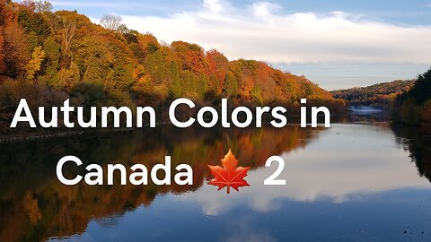 Autumn Color Changes 2 #autumn #autumnleaves