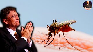 Florida & Texas Get a Resurgence in MALARIA Cases After Bill Gates Released MODIFIED Mosquitoes!