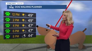 Sunshine returns for Wednesday afternoon