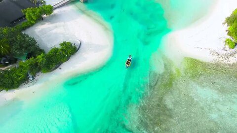 Paradise Island Maldives Drone aerial view Royalty Free Stock Footage