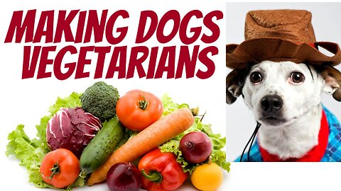 Vegetarian dogs!? Would dogs agree if they could tell us?