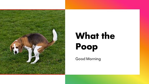 Morning Coffee and What the Poop LOL