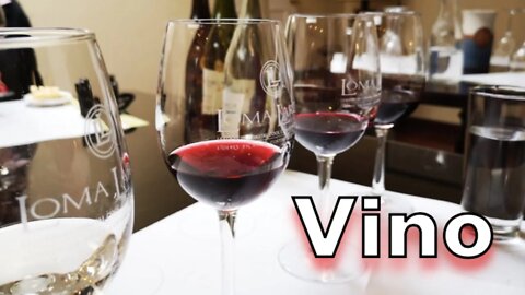 VINO, Historia y Cepas con Wine Wein Tours