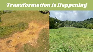 Healing Barren Pasture Land