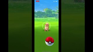 Pokémon Go - Catching Growlithe Gameplay #Shorts